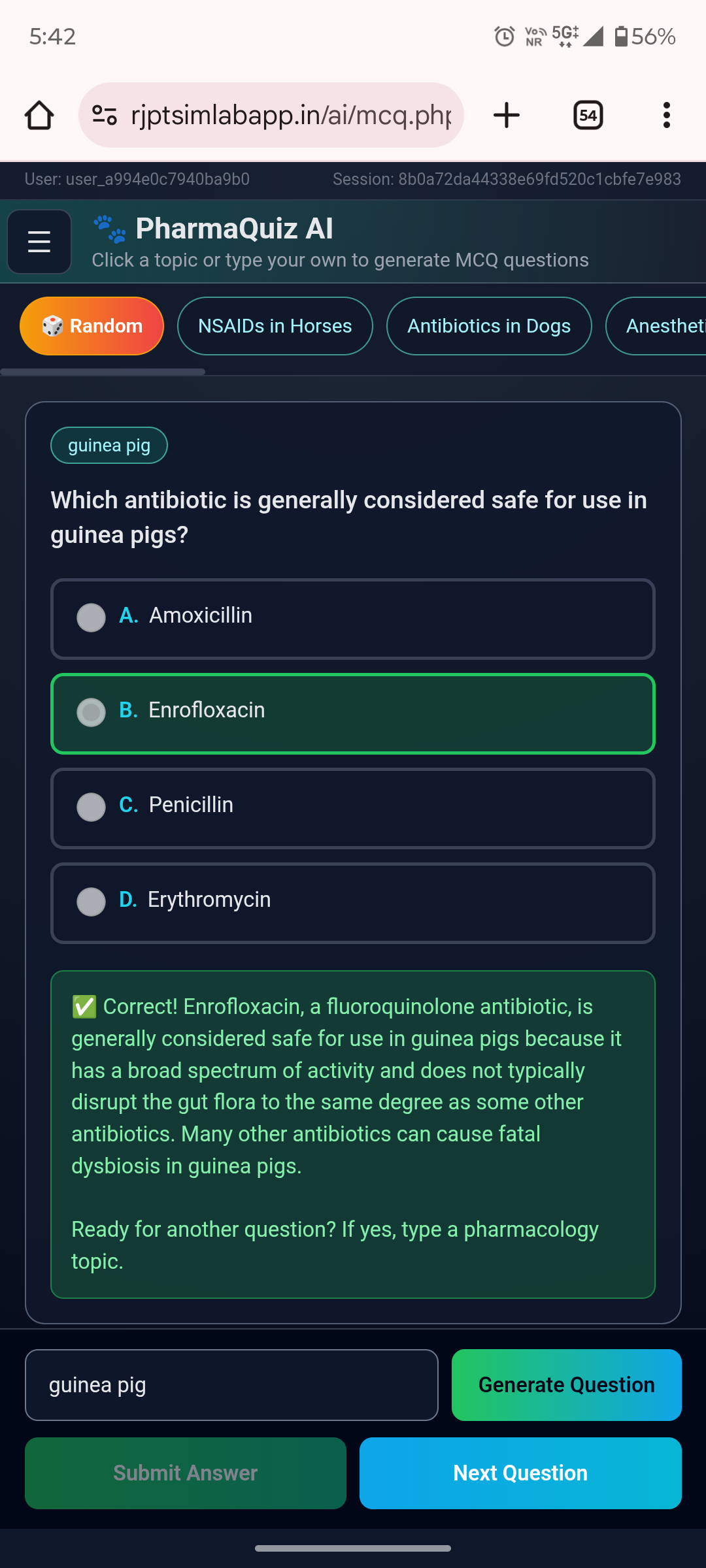RJPT SimLab AI Assistant Interface